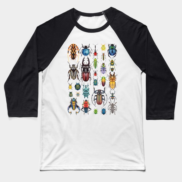 Beetle Collection Baseball T-Shirt by Oh Hokey Pokey